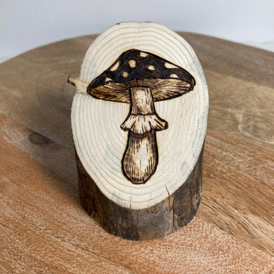 Mushroom II - Small