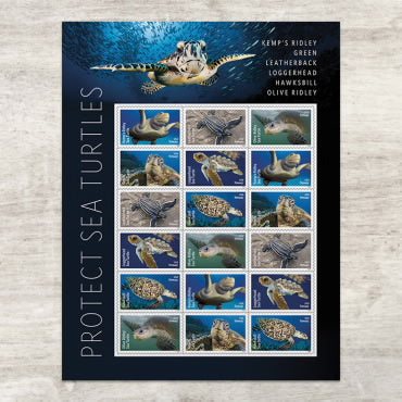 *Forever Letter Stamps: Protect Sea Turtles*